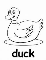 Duck Coloring Pages Baby Printable Mallard Rubber Print Unisex Color Ducks Genuine Getcolorings Alphabet Ages Worksheets Pi Wonderful sketch template