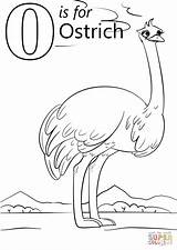Ostrich Coloring Letter Pages Cartoon Printable Preschool Alphabet Kids Supercoloring Worksheets Drawing Printables Crafts Abc Puzzle Words Book Animals Categories sketch template