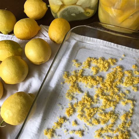 lemon extract  waste chef