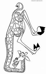 Madagascar Melman Coloring Pages Giraffe Printable Cartoons Drawing Cartoon Gloria Alex Hippopotamus Drawings Marty Crafts Easy Categories Comments Silhouettes sketch template