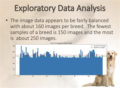 interesting data science project ideas examples springboard blog