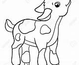 Goat Drawing Coloring Goats sketch template