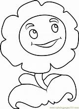 Marigold Coloring Pages Getcolorings Printable Pa Color sketch template