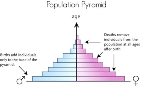 population structure ck 12 foundation