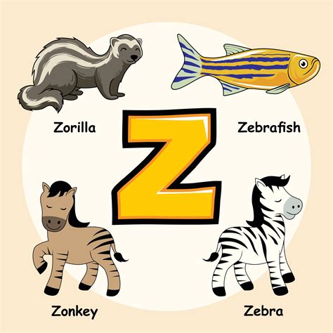 animals alphabet letter   zebra zorilla zebrafish zonkey  vector art  vecteezy
