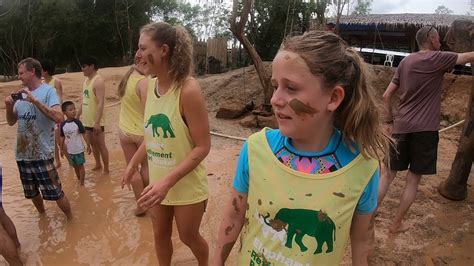 mud bath with elephants in phuket thailand youtube