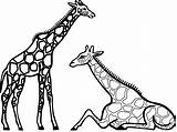 Giraffe Coloring Pages Printable Print Kids sketch template