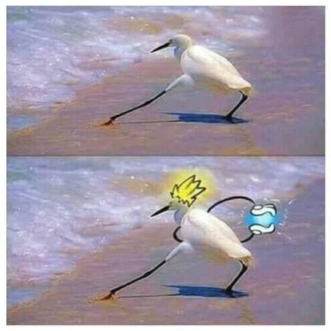 Super Saiyan Bird Birds With Arms Know Your Meme