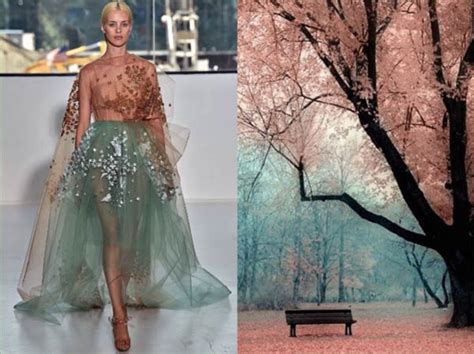 fashion and nature how fashion designer get inspired by