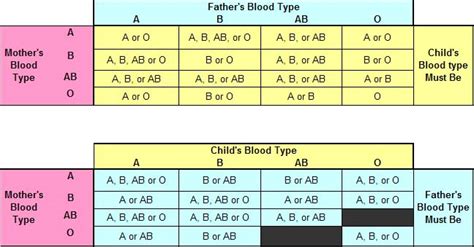 ab positive blood type  health guide