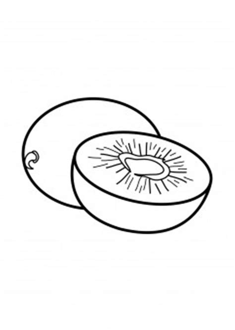 kiwi coloring template thomas willeys coloring pages