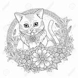 Coloring Pages Kitty Cat Floral Wreath Adult Adorable Exquisite Choose Board Line Colouring Animal sketch template