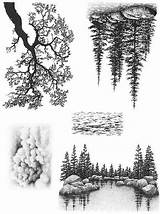 Cove Lakeside Stampscapes Sheet Nature Large Landscape Pine sketch template