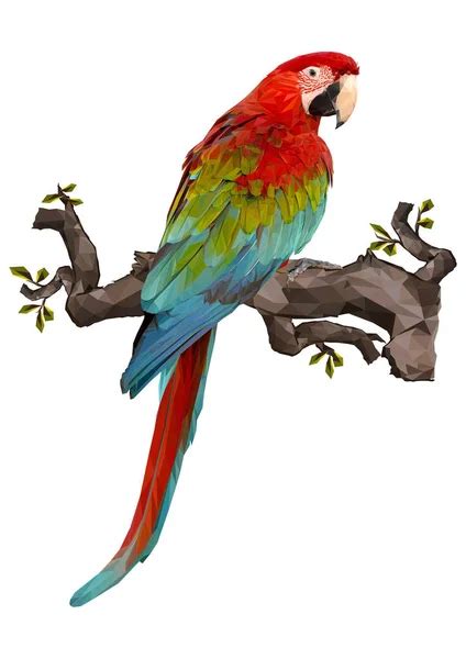 parrot head logo stock  royalty  parrot head logo images depositphotos