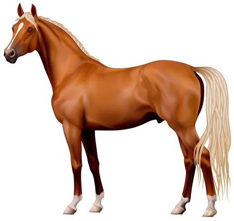 pictures  horses clipart  getdrawings