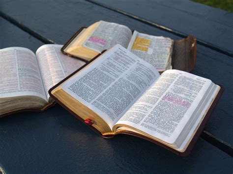 bible study  photo  freeimages