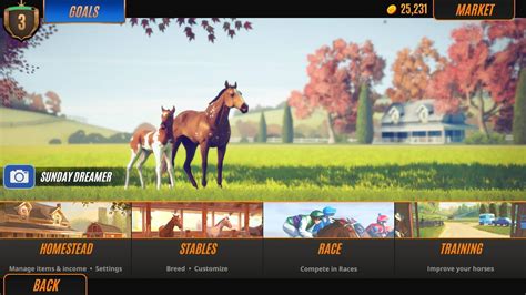 acheter rival stars horse racing desktop edition pc cd