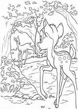 Coloring Bambi Pages Comments sketch template