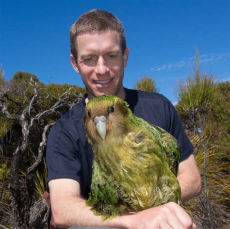 norwich scientists plight  save  rare flightless parrot city parrots
