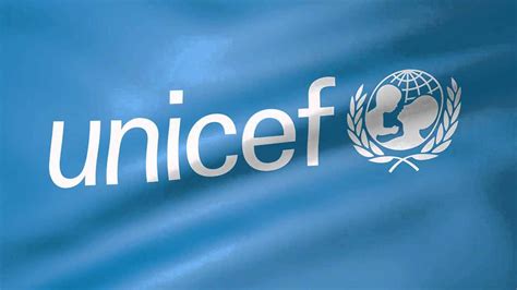 unicef     eco efficiency  environment management group