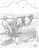 Coloring Pages Crops Farmer Harvest Harvesting Printable Horse Early September Time Kids Adult Color Seasons Drawing Para Colorear Ausmalbild Colouring sketch template