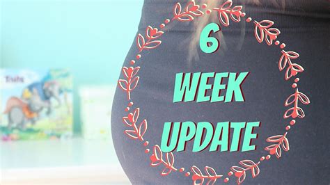 6 week pregnancy update my pregnancy journey youtube
