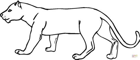 panther coloring page  printable coloring pages