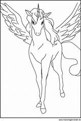 Pegasus Ausmalbilder Ausmalen Pferde Pferd Drucken Einhorn Kinder Malvorlagen Kostenlose Tiere Zeichnen Horse Malvorlage Kunst Schultüte Registriert sketch template
