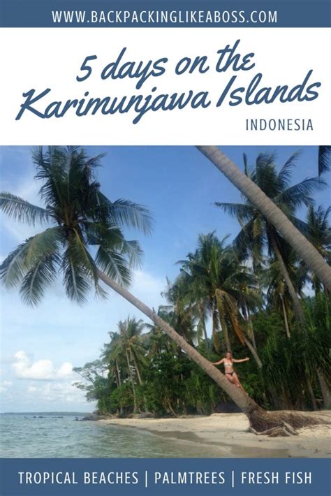 the amazing karimunjawa islands in indonesia please visit them now