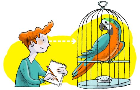 tierbeschreibungen  klasse  kapiertde