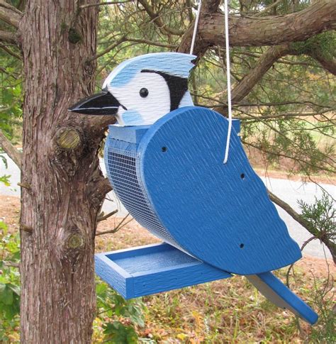 blue jay bird feeders  peanuts birds  blooms