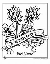 Coloring Vermont Flower State Pages Flag Kids Flowers Printable Getcolorings sketch template