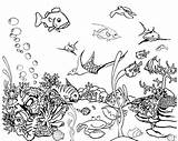 Aquarium Fish Coloring Tank Pages Tropical Drawing Real Printable Color Fishtank Netart Getdrawings Drawings Georgia Kids Printables Getcolorings Designlooter Imgarcade sketch template
