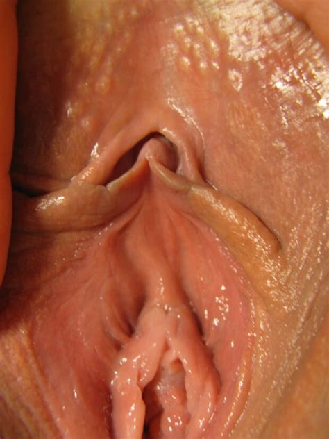 perfect little labia twoliplover