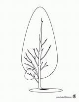 Tree Coloring Pine Trees Cypress Pages Drawing Kids Clip Popular Getdrawings Library Clipart sketch template