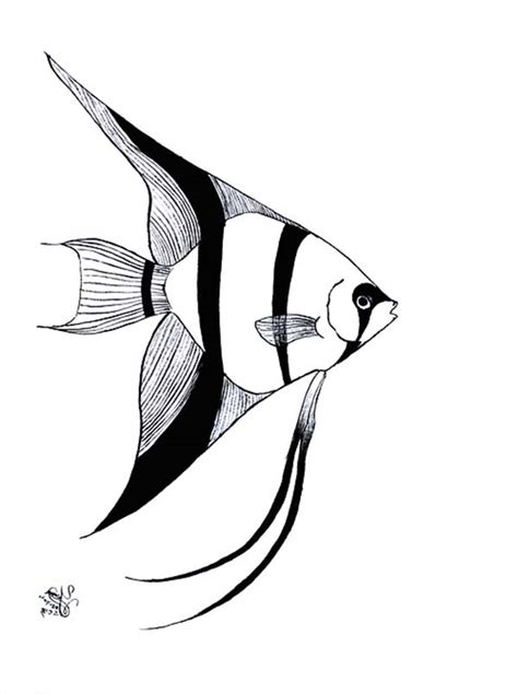 angel fish image coloring page coloring sky