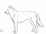 Husky Coloring Pages Siberian Realistic Drawing Dog Color Printable Line Getdrawings Print Popular Library Clipart Coloringhome Alaskan sketch template