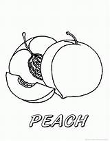 Peach Fruit Peaches Apricot Designlooter Adults sketch template
