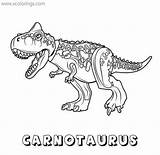 Carnotaurus Dinosaurs Xcolorings sketch template