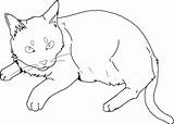 Cat Down Lying Lineart sketch template