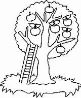 Coloriage Arbre Apple Tree Nature Coloring Imprimer Sans Feuille Printable Un Dessin Pomme Kb sketch template