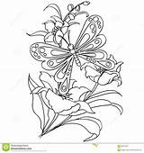 Butterfly Vector Coloring Flower Cartoon Illustration Preview sketch template