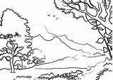 Floresta Mewarnai Pemandangan Colorir Hutan Imprimir Paisagem Sketsa Kumpulan Gambarcoloring Habitat Enchanted Marimewarnai Velha Benda Taiga Kanan Dentistmitcham sketch template
