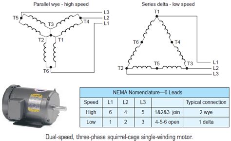 diagram  phase  speed motor wiring diagram mydiagramonline