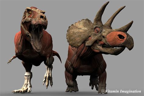 Vitamin Imagination Tyrannosaurus Vs Triceratops 2017 By Vitamin