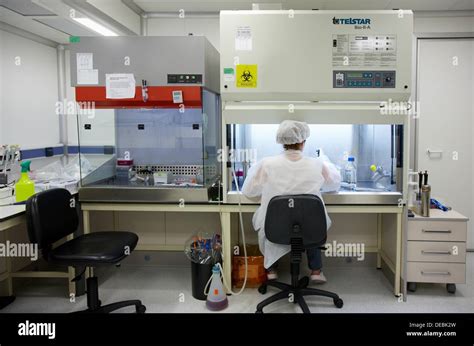 researcher seeding mammalian cells   cell culture room equipped