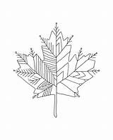 Maple Drawing Leaf Tattoo Toronto Pages Canadian Coloring Colouring Abstract Tattoos Canada Leaves Line Leafs Donald Mind Lee Form Impressive sketch template