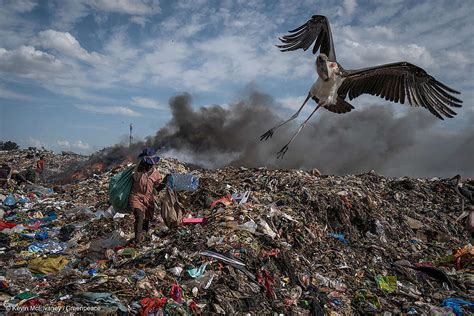 llenamos al mundo de basura  ahora  greenpeace colombia