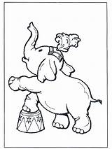 Elefante Circo sketch template