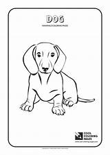 Coloring Dog Pages Cool Mammals Animals Print sketch template